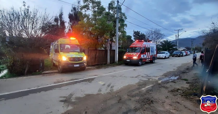 Imagen 2