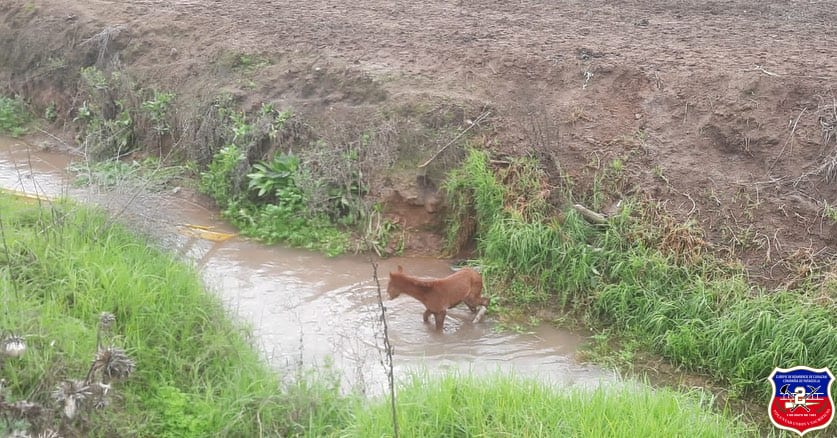 Imagen 5