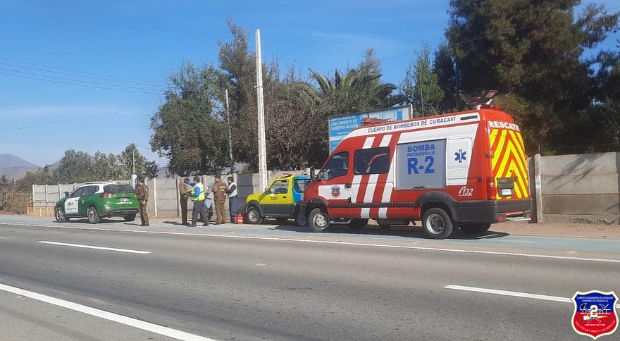 Imagen 2