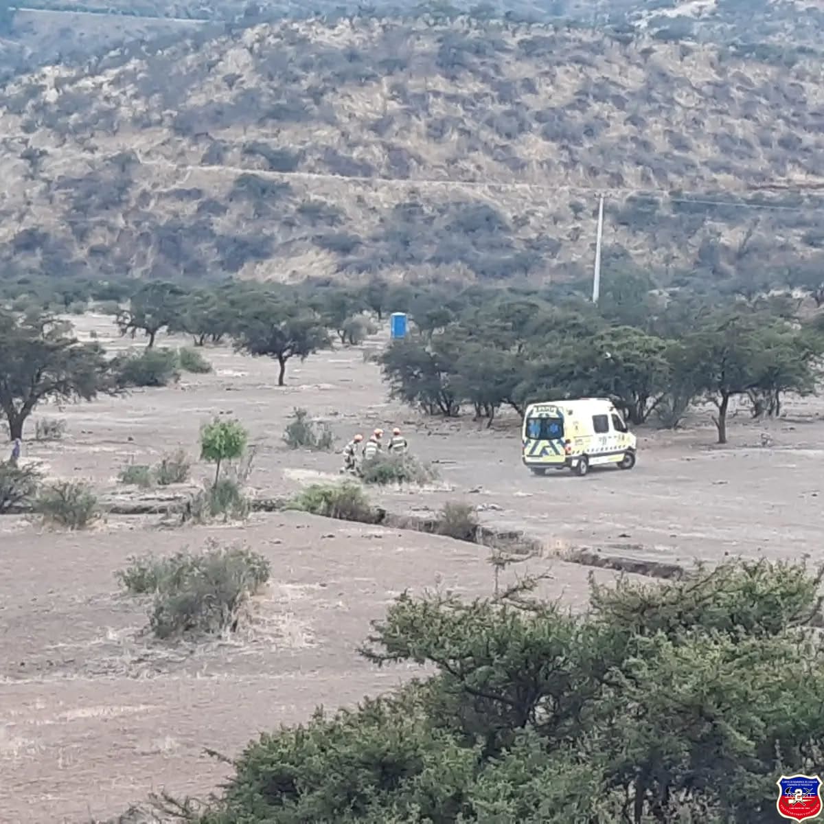 Imagen 6