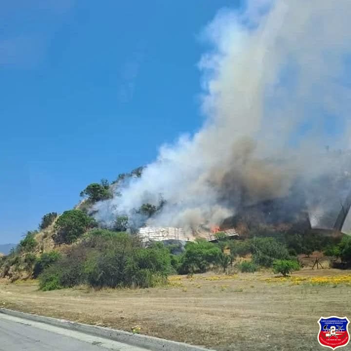 Imagen 3