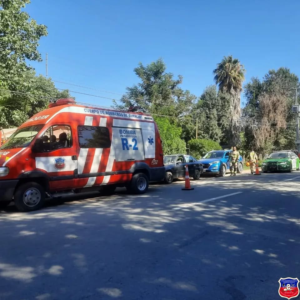 Imagen 2