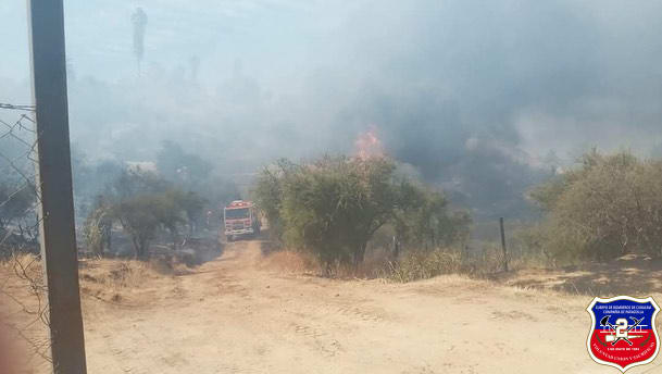 Imagen 1