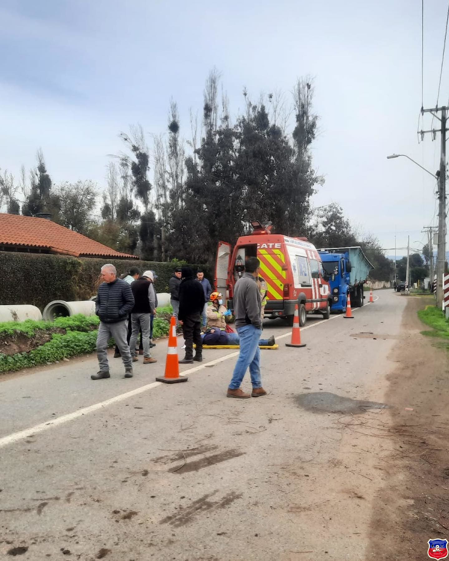 Imagen 2