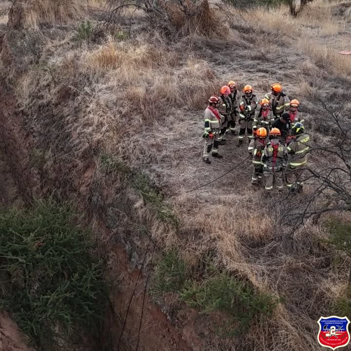 Imagen 7