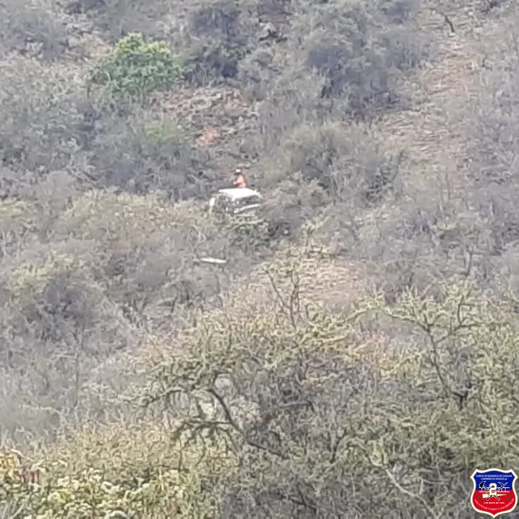 Imagen 2