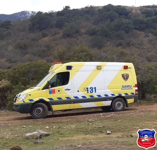Imagen 4