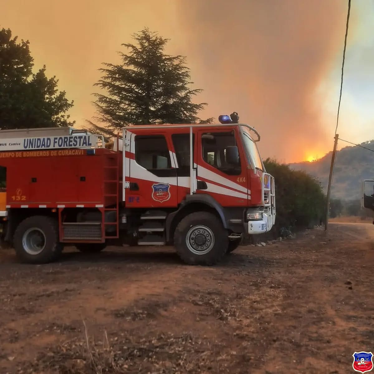 Imagen 6