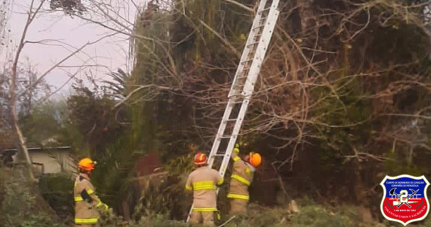Imagen 3