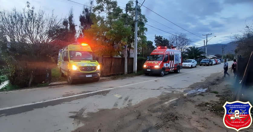 Imagen 2