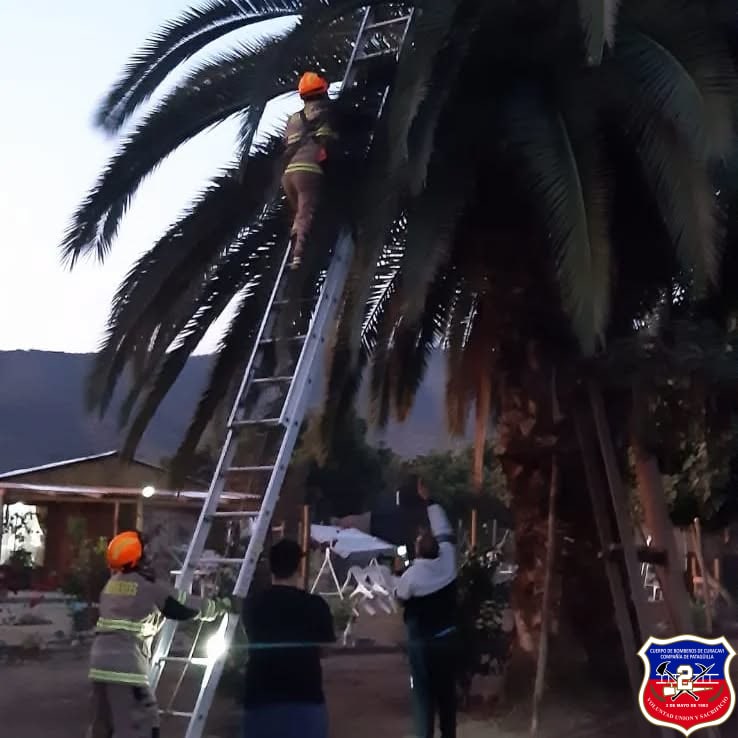 Imagen 3