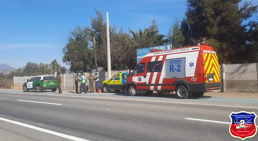 Imagen 2