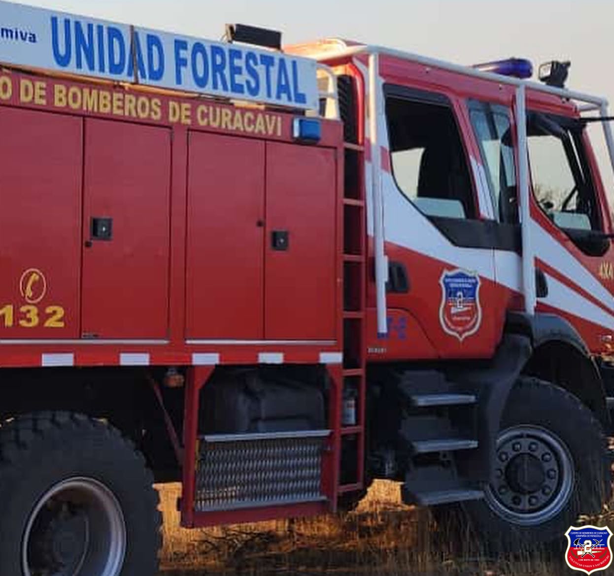 Imagen 6