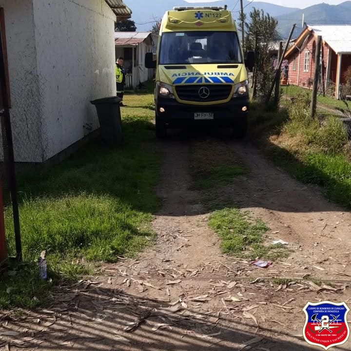 Imagen 2