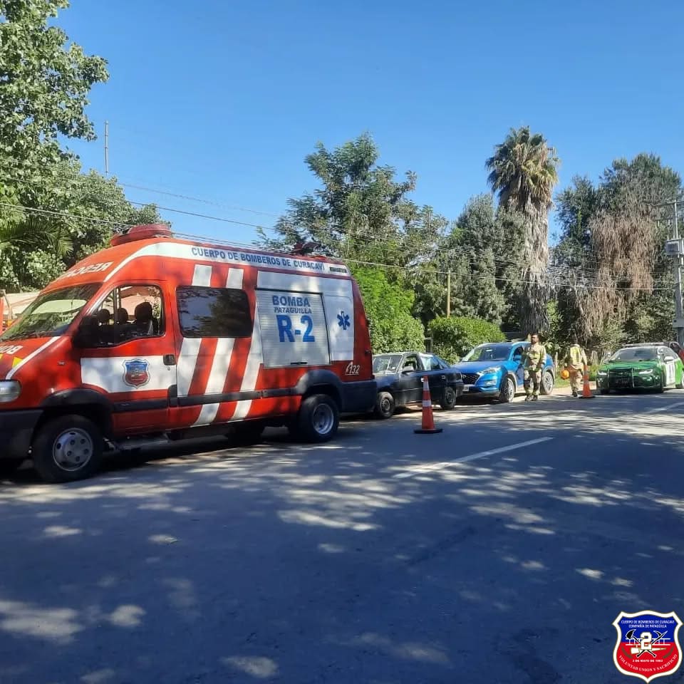 Imagen 2