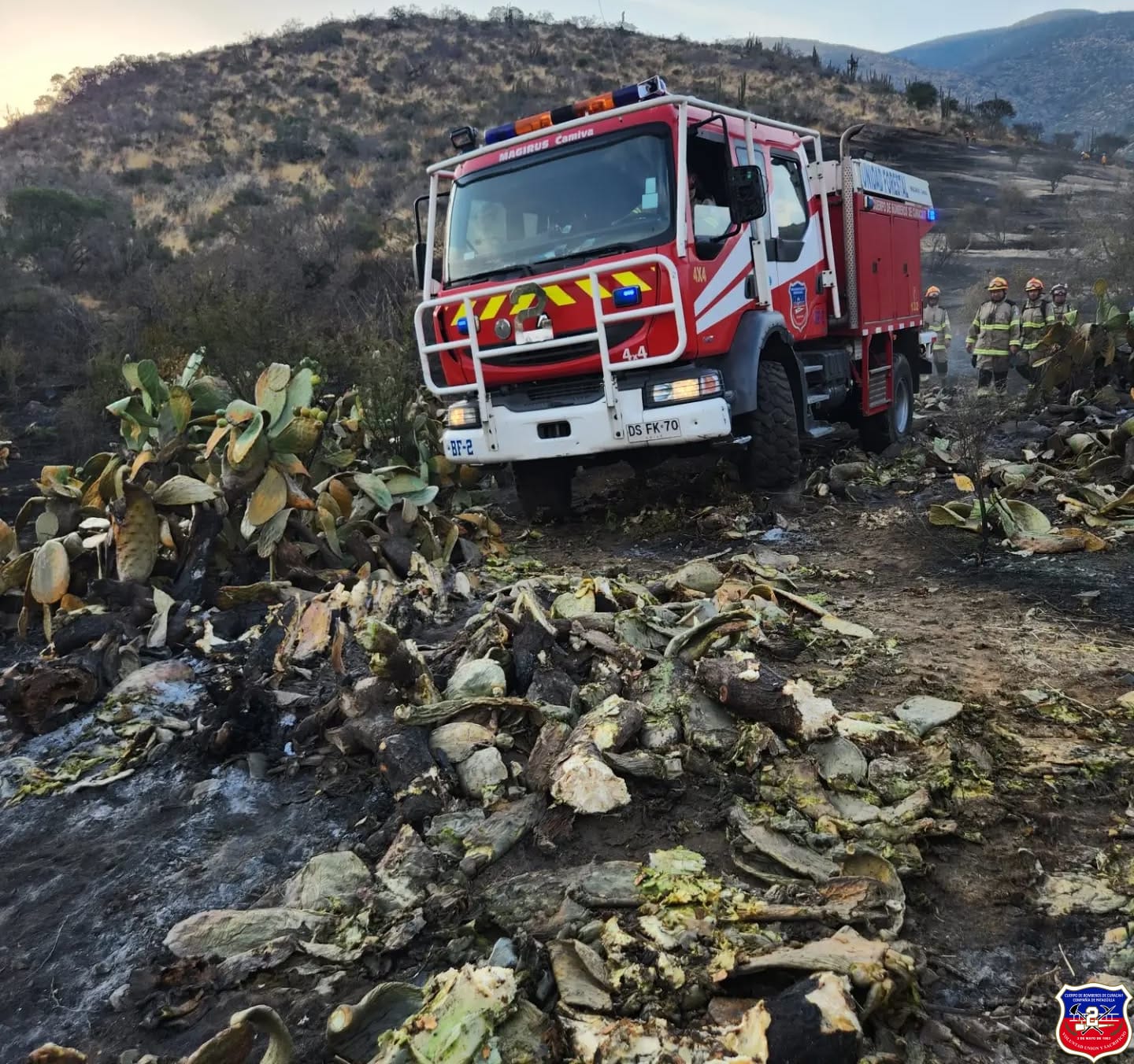 Imagen 8