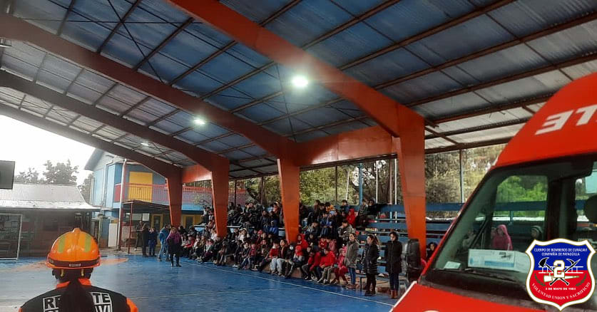 Imagen 5