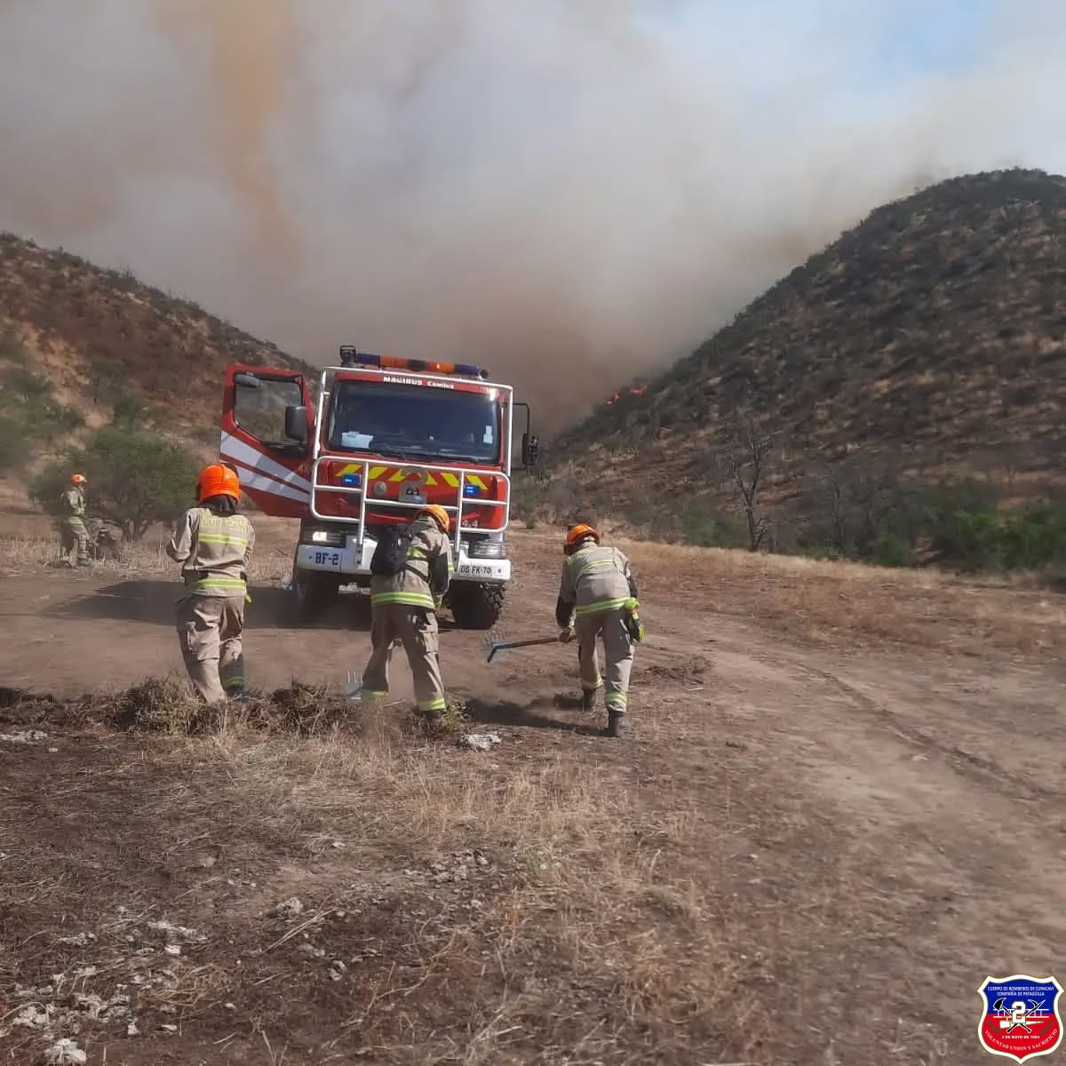 Imagen 5