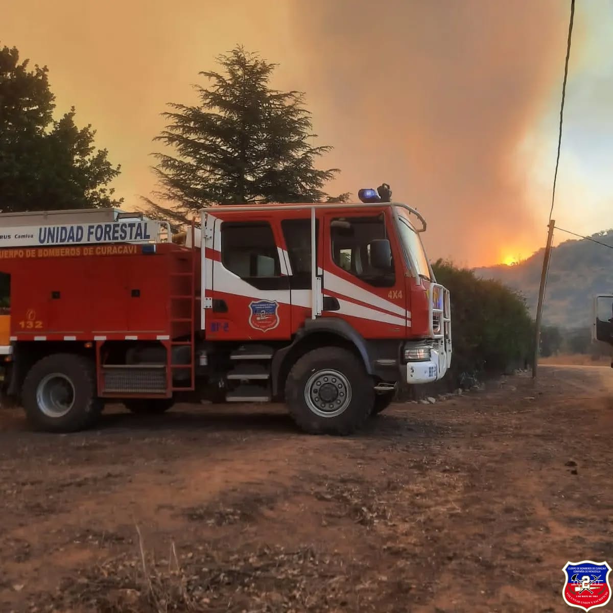 Imagen 6