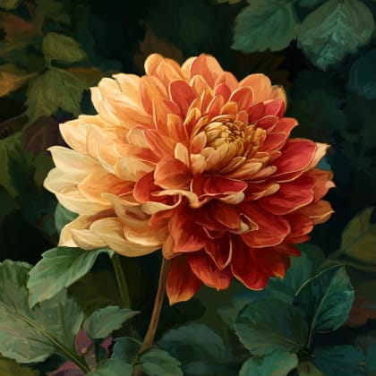 Dahlia