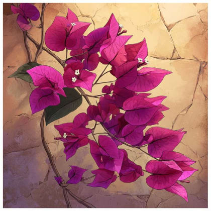 bougainvilleas