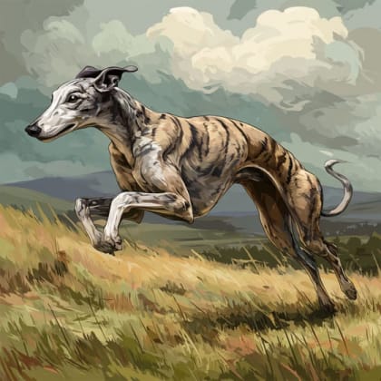 Greyhound