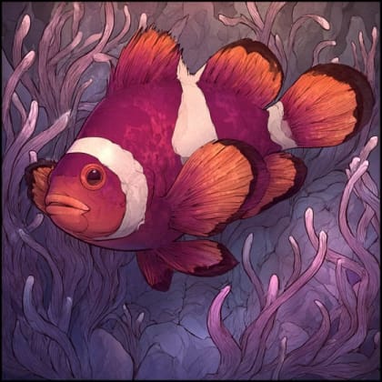 Maroon Clownfish