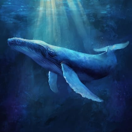Blue Whale