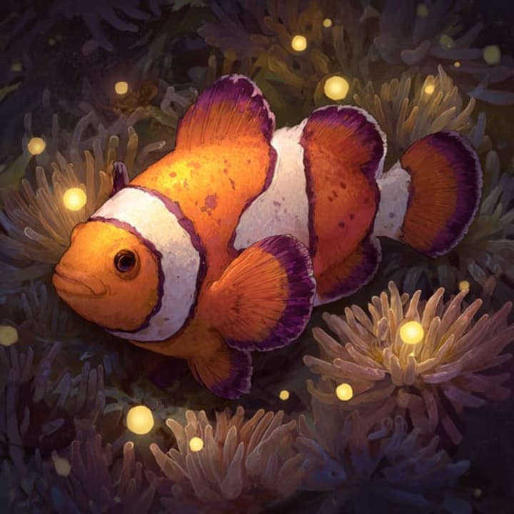 Peixe-palhaço