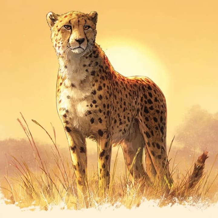 Ghepardi