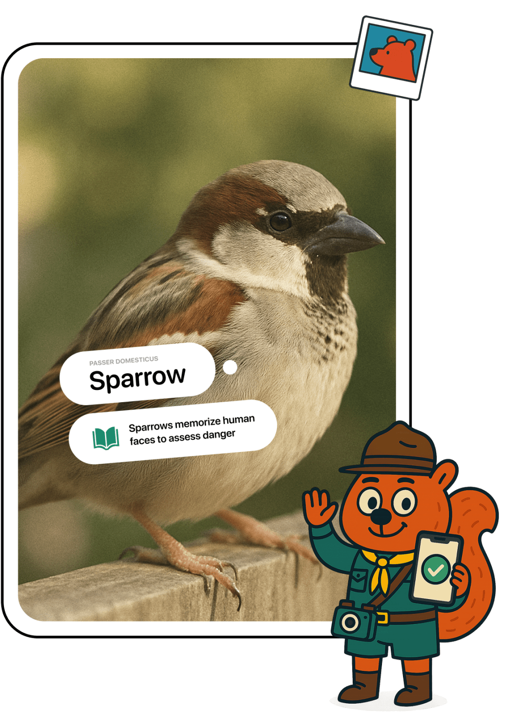 Snappit identifying a plant from a photo with kid-friendly facts