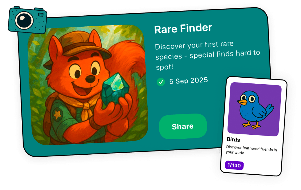 Snappit achievements and collection badges