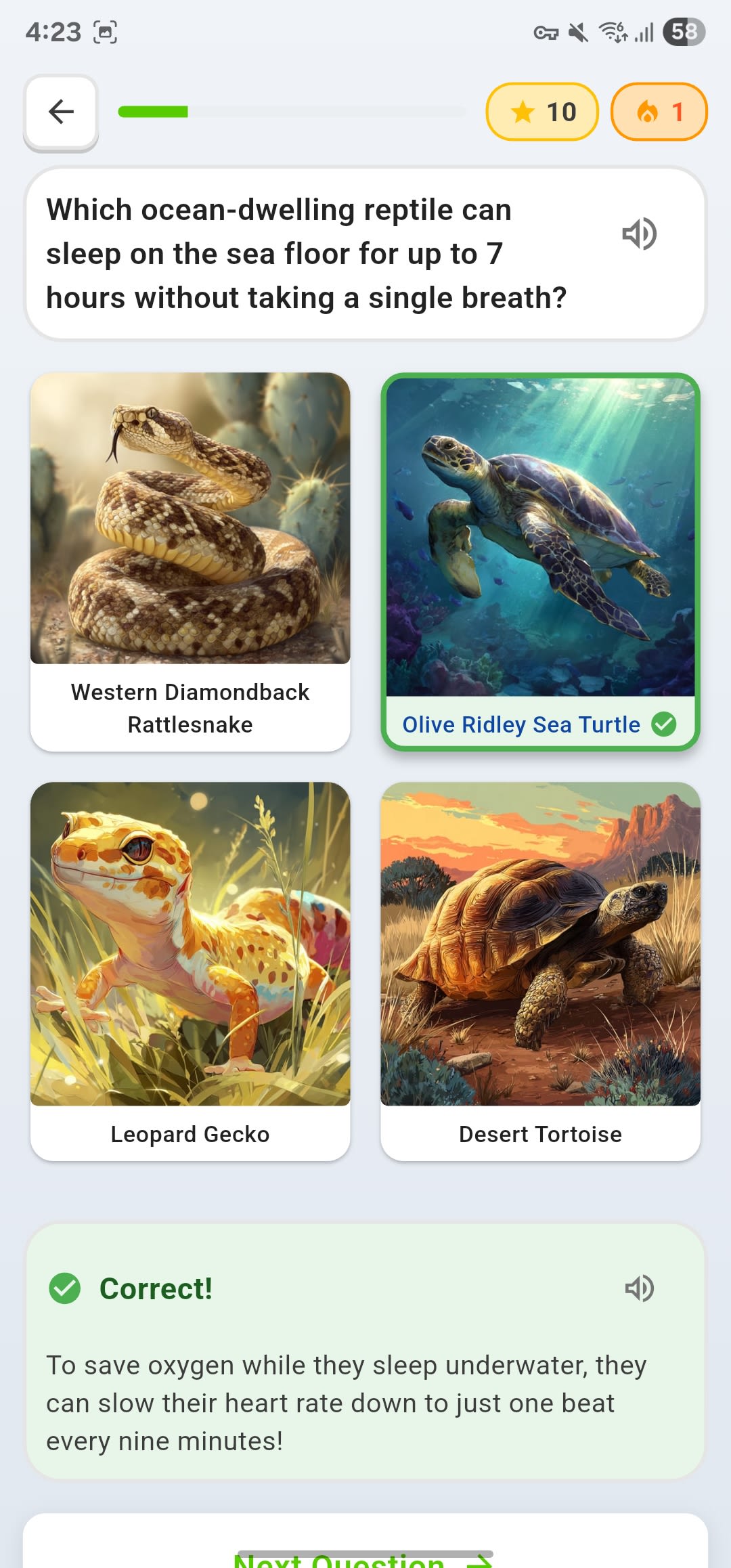 Snap Quiz screenshot 2