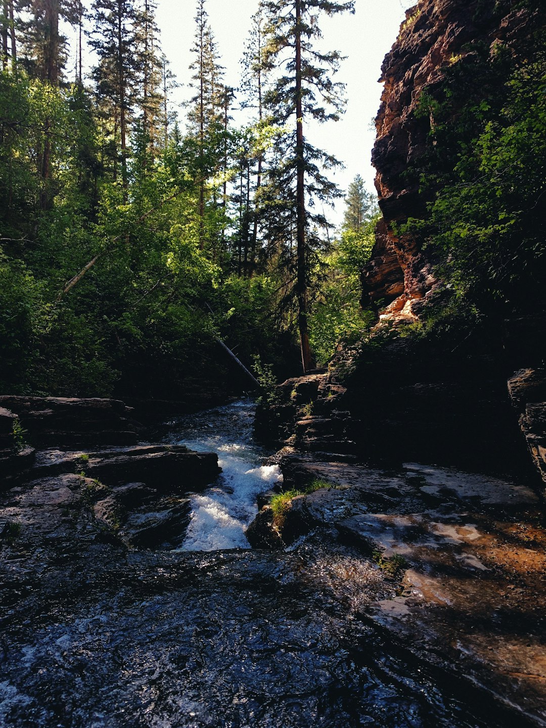 sl