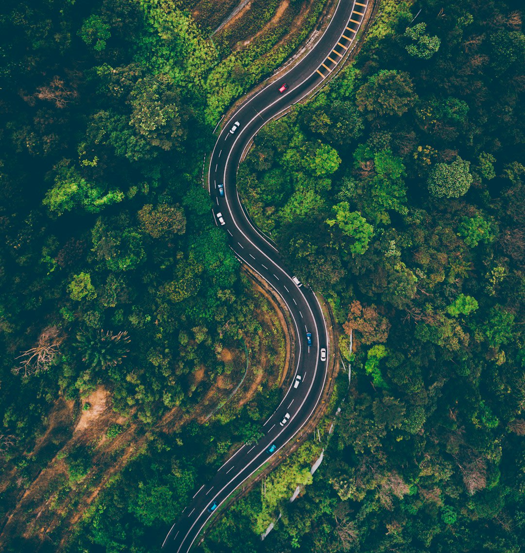 sl