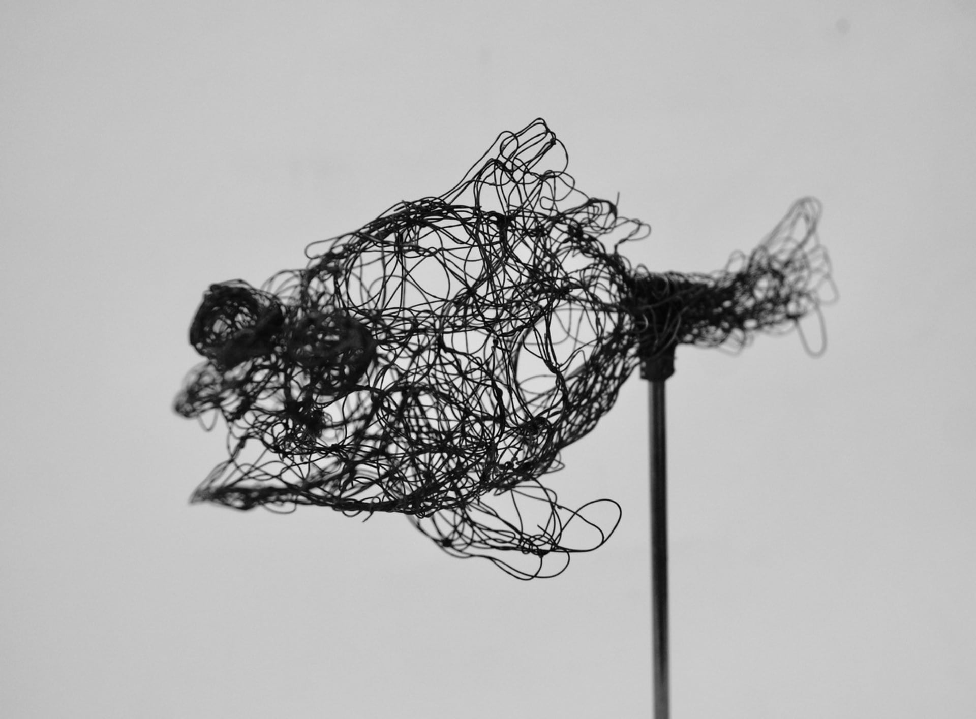 Kleine Wesen 2020.71 von Myriam Louvel, Metalldrahtskulptur