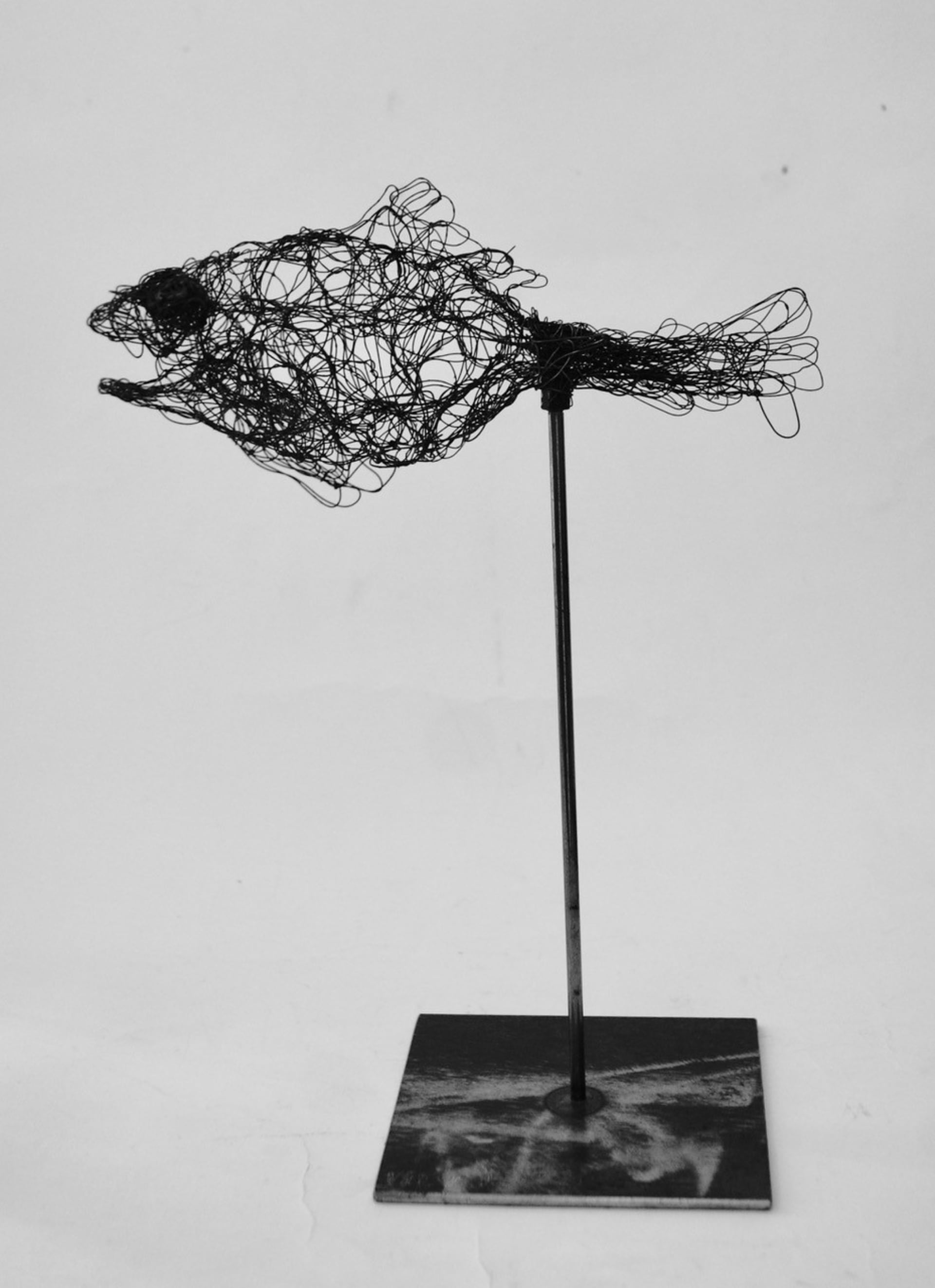Kleine Wesen 2020.71, Ansicht 2, Metalldrahtskulptur von Myriam Louvel