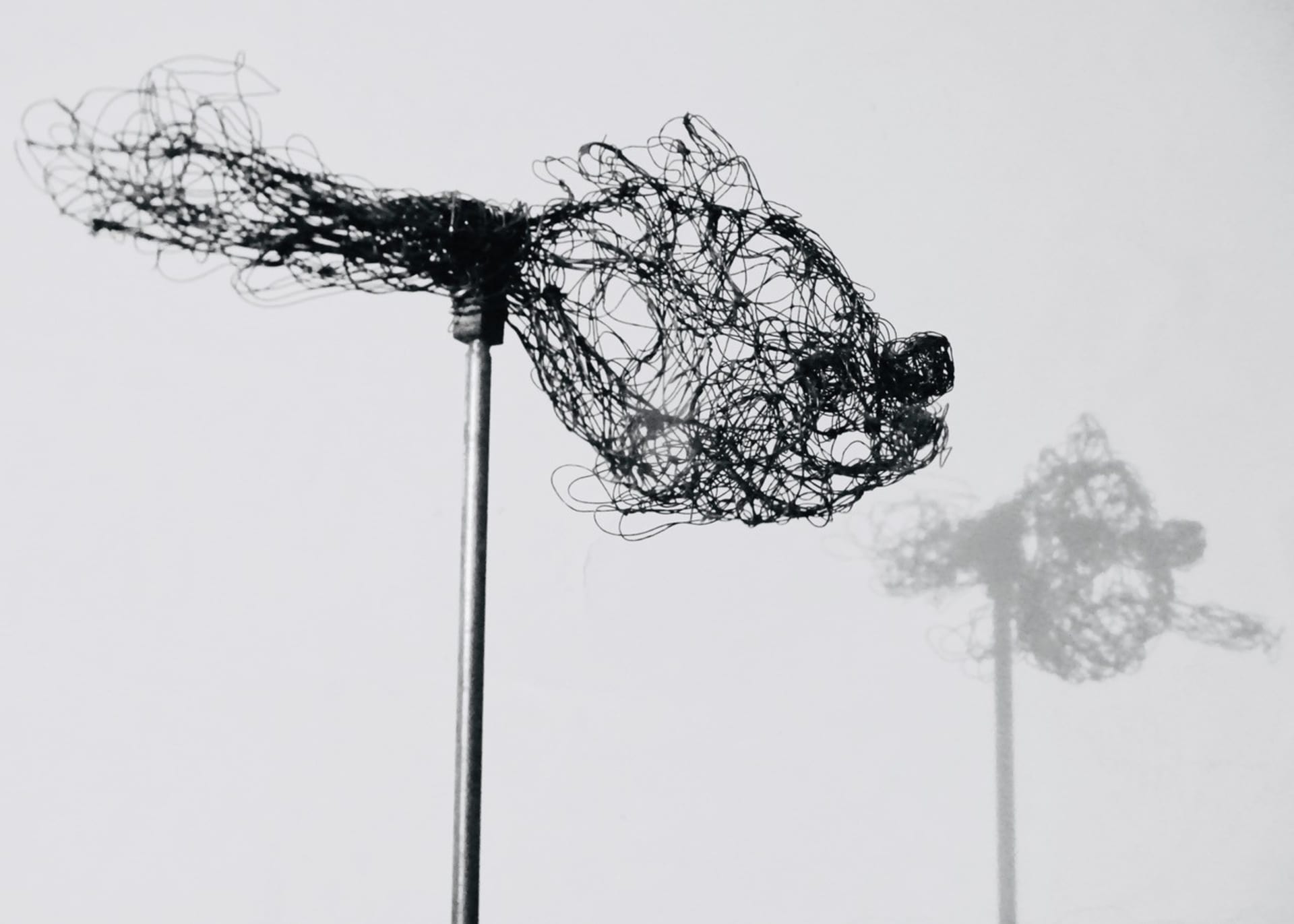 Kleine Wesen 2020.71, Ansicht 3, Metalldrahtskulptur von Myriam Louvel