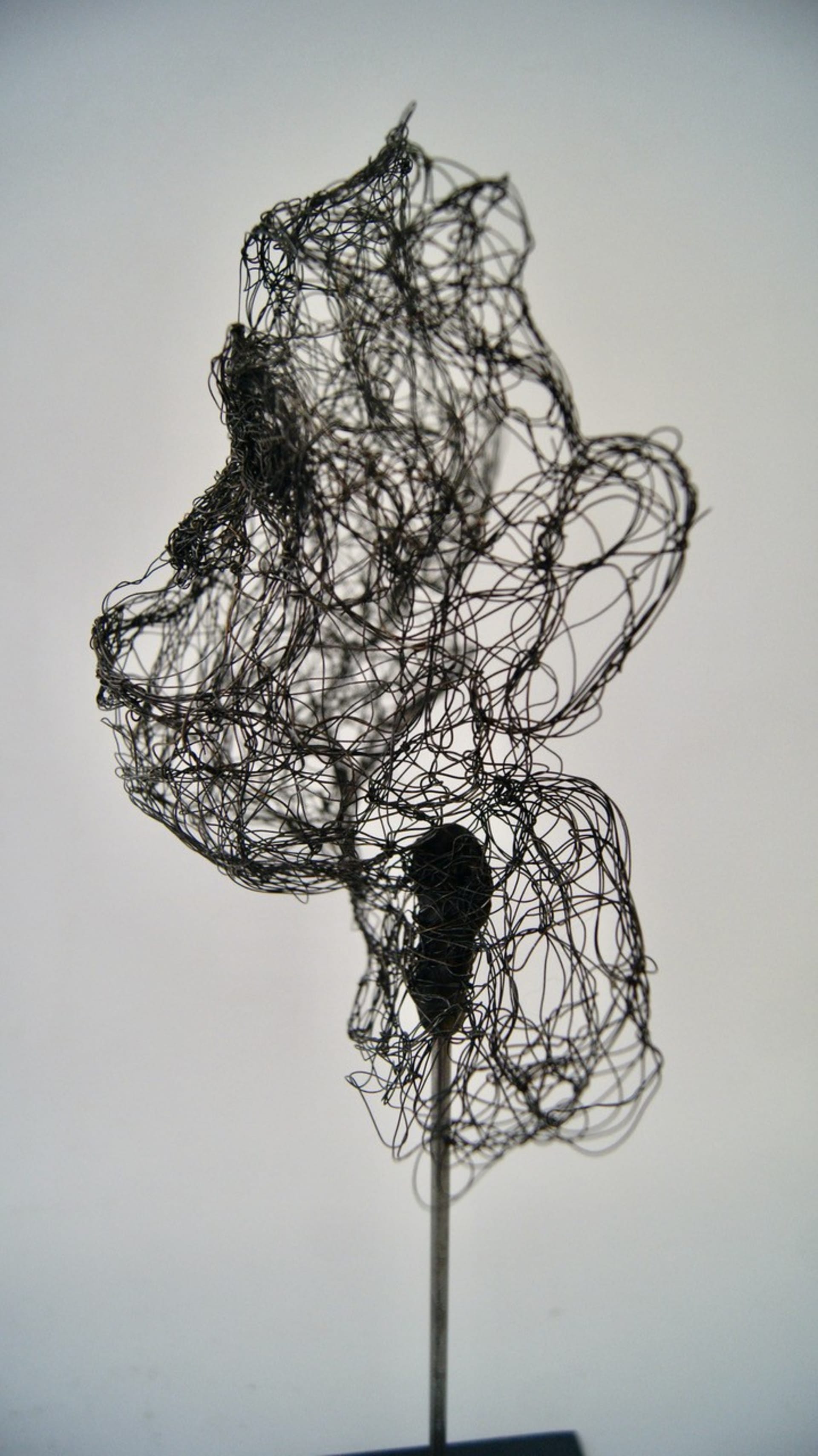 Piccole creature 2021.41, vista 3, scultura in filo di metallo di Myriam Louvel