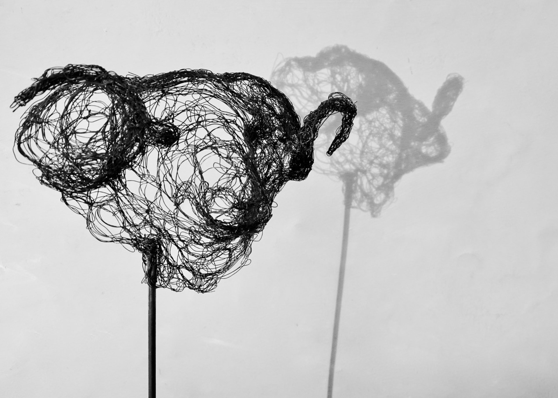Piccole creature 2021.81, vista 3, scultura in filo di metallo di Myriam Louvel
