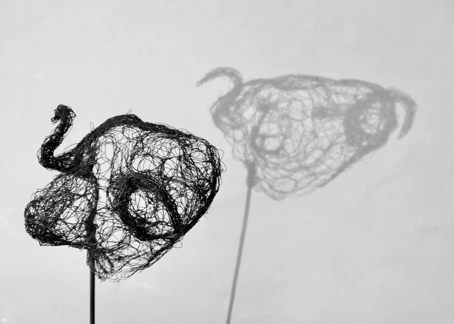 Piccole creature 2021.81, vista 4, scultura in filo di metallo di Myriam Louvel