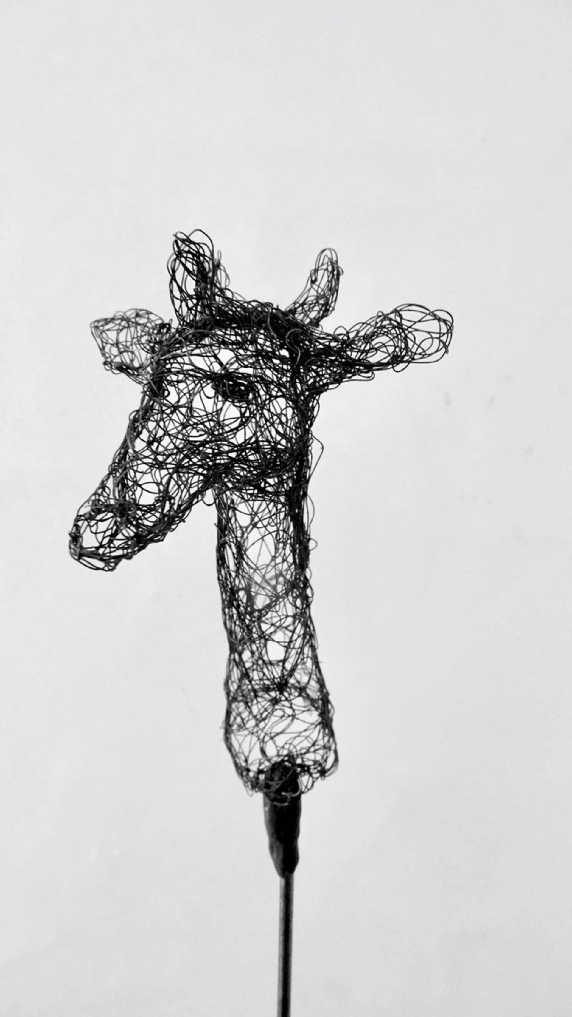 Small creatures 2023.59 by Myriam Louvel, wire sculpture