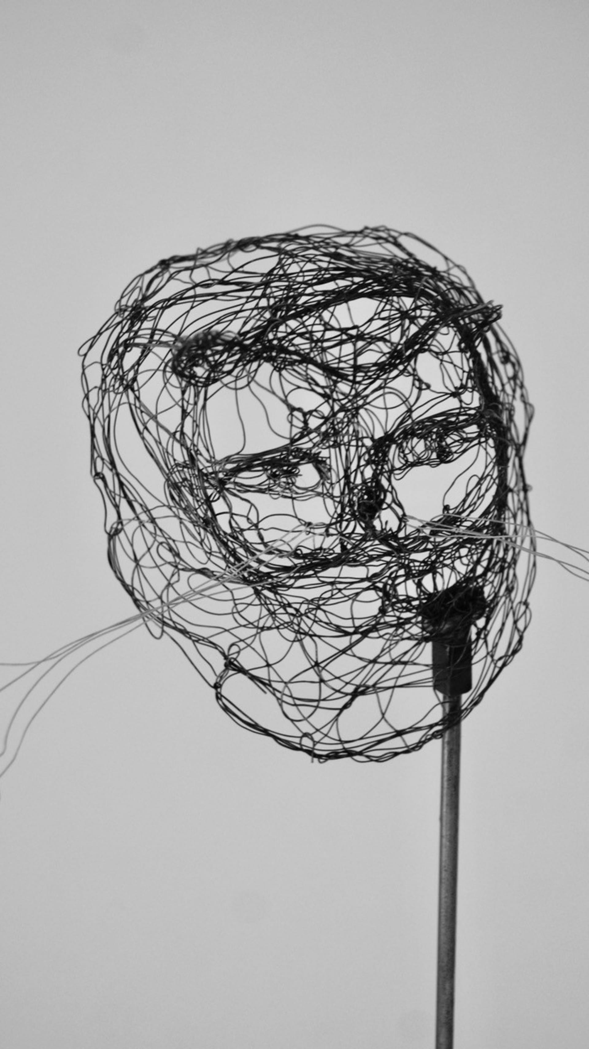 Petites bêtes 2024.124 par Myriam Louvel, sculpture en fil de fer