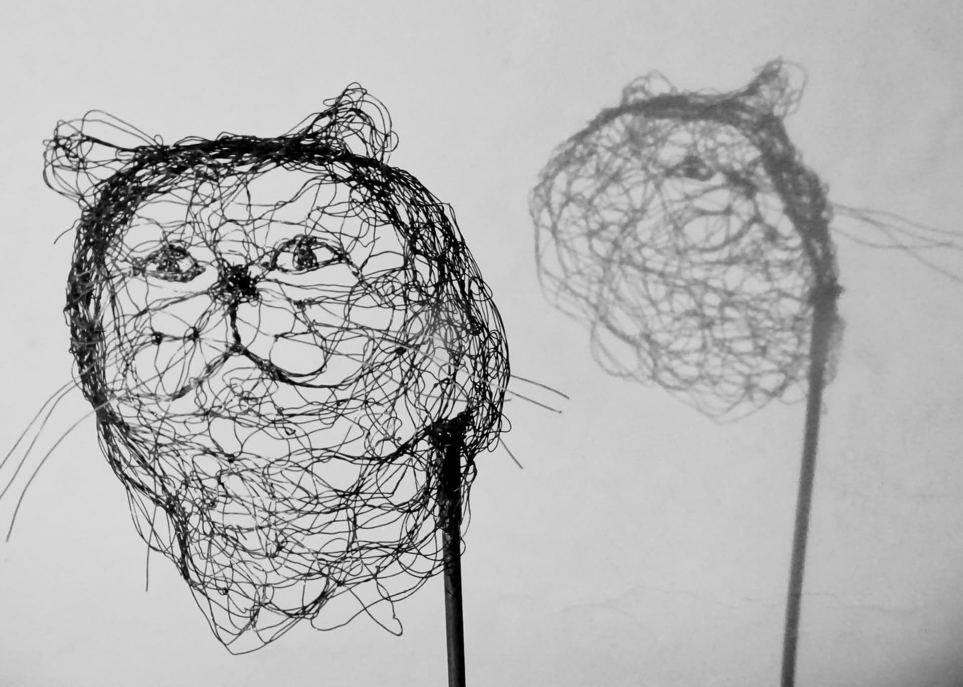 Petites bêtes 2024.124, vue 3, sculpture en fil de fer par Myriam Louvel