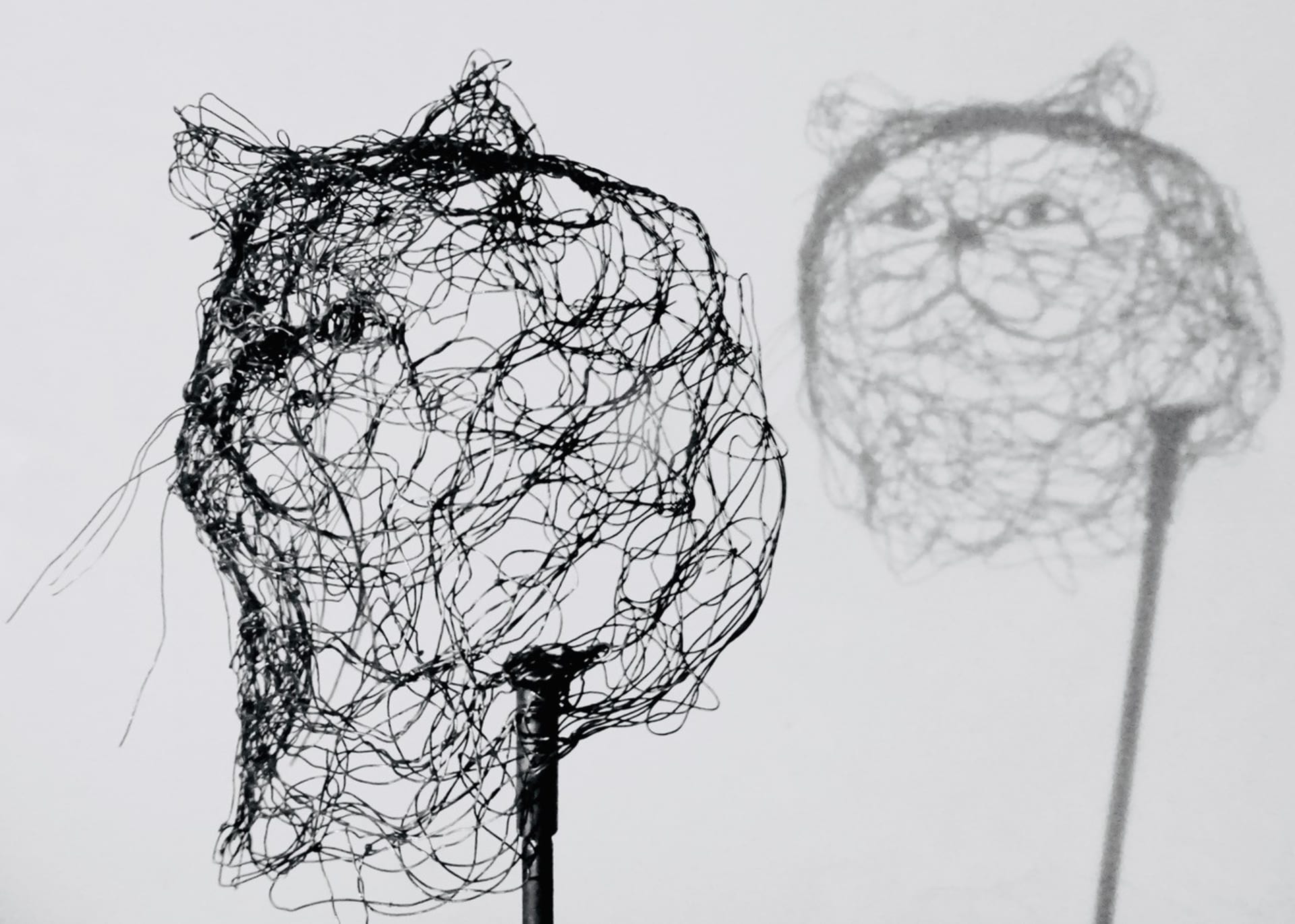 Petites bêtes 2024.124, vue 4, sculpture en fil de fer par Myriam Louvel