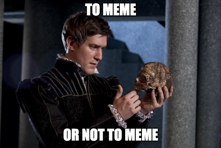 To meme, or not to meme