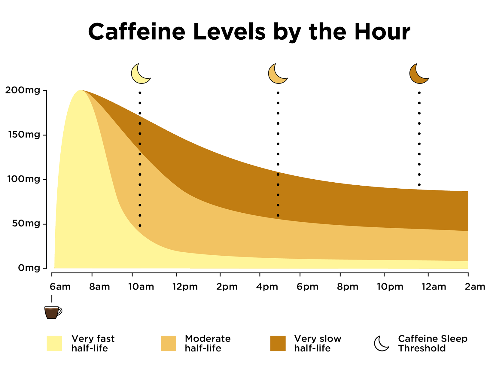 Graph of caffeine levels over time, showing how half-life varies by person.