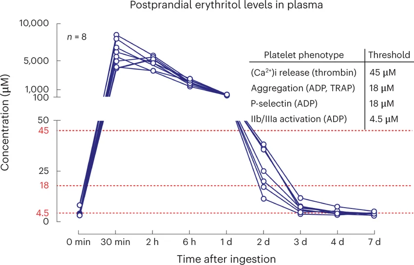 Line graph showing erythritol concentrations in blood plasma over seven days after participants consumed 30 grams of erythritol. Levels increase sharply within 30 minutes, peak between approximately 4,000 and 8,000 μM, and then gradually decline. Dashed red lines indicate platelet activation thresholds, and erythritol levels remain above these thresholds for up to two days before approaching baseline by day seven.