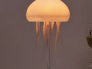 Jellyfish Lamp Detail