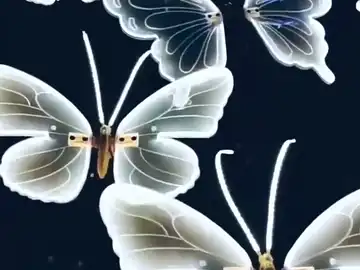 LED Butterfly Landscape Light - detail animation